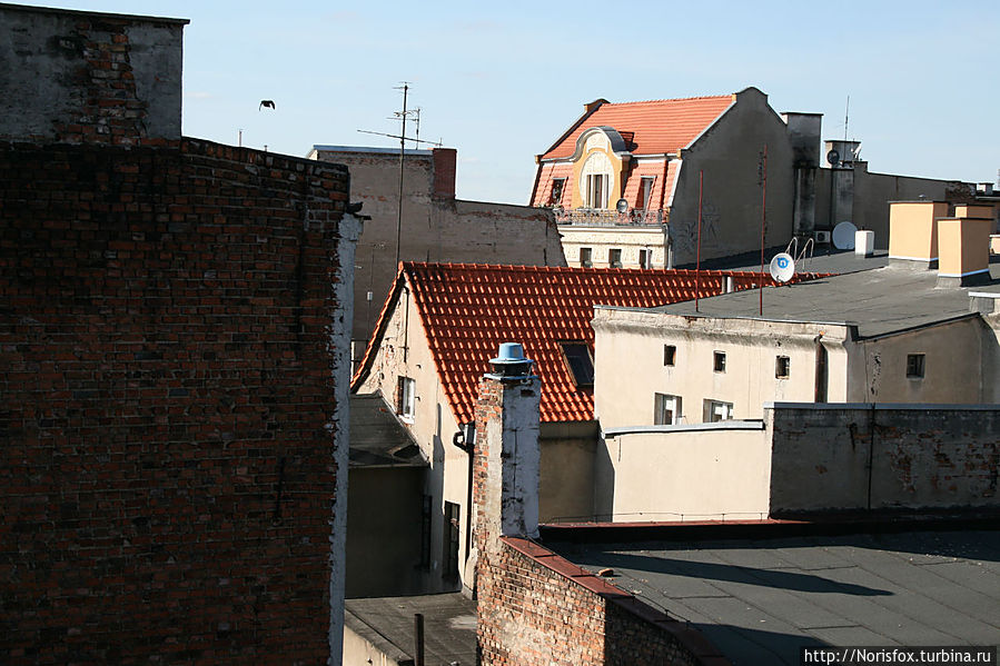 Вид из окон на соседние крыши