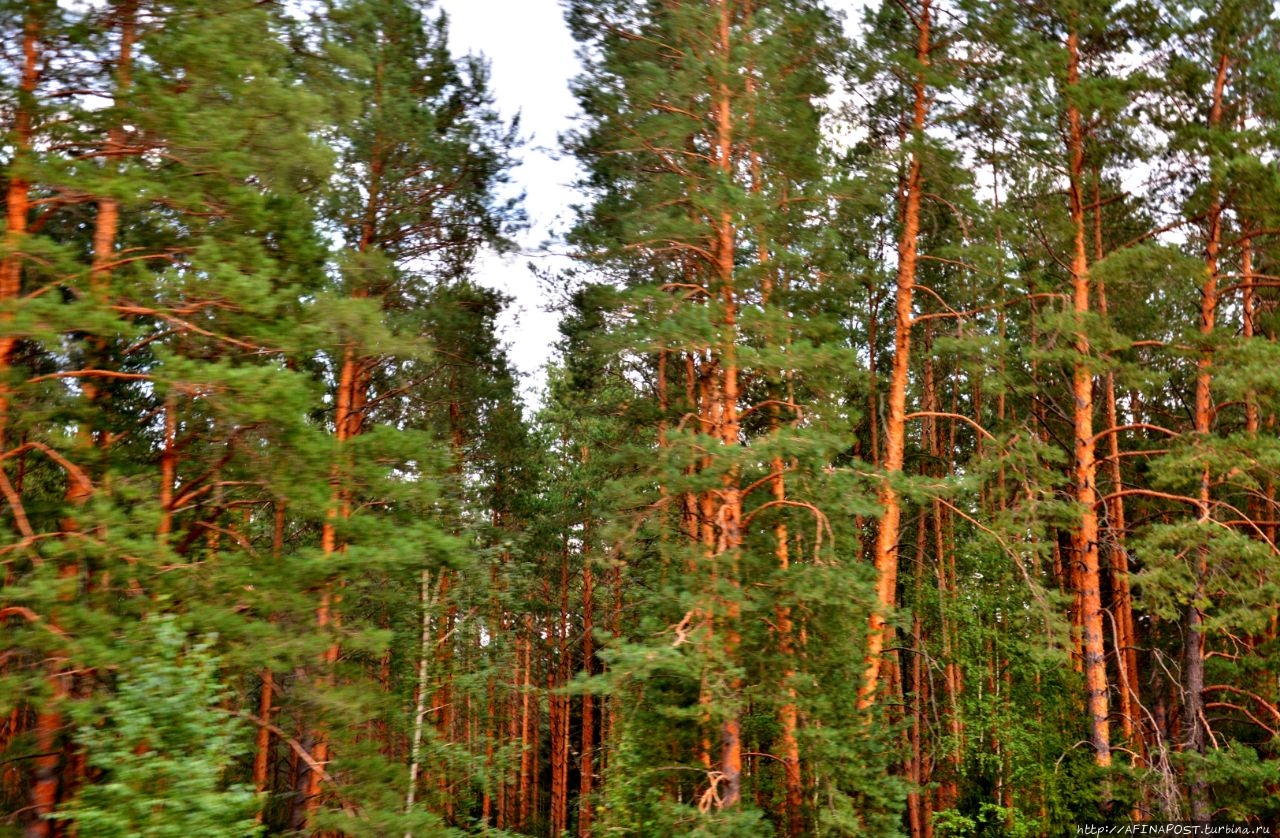 Набережная Брюгге Йошкар-Ола, Россия