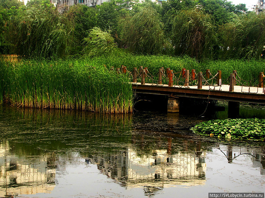 Мостик у камыша Нанкин, Китай