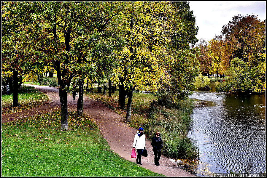 Осень на Ольгином пруду Петергоф, Россия