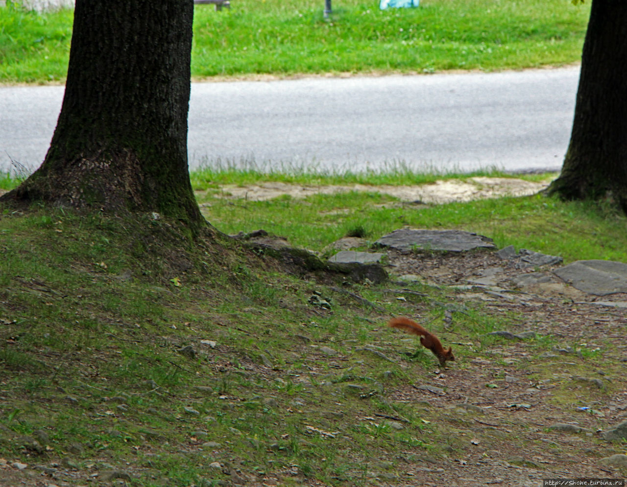 Пройти по Их пути Кальвария-Зебжидовска, Польша