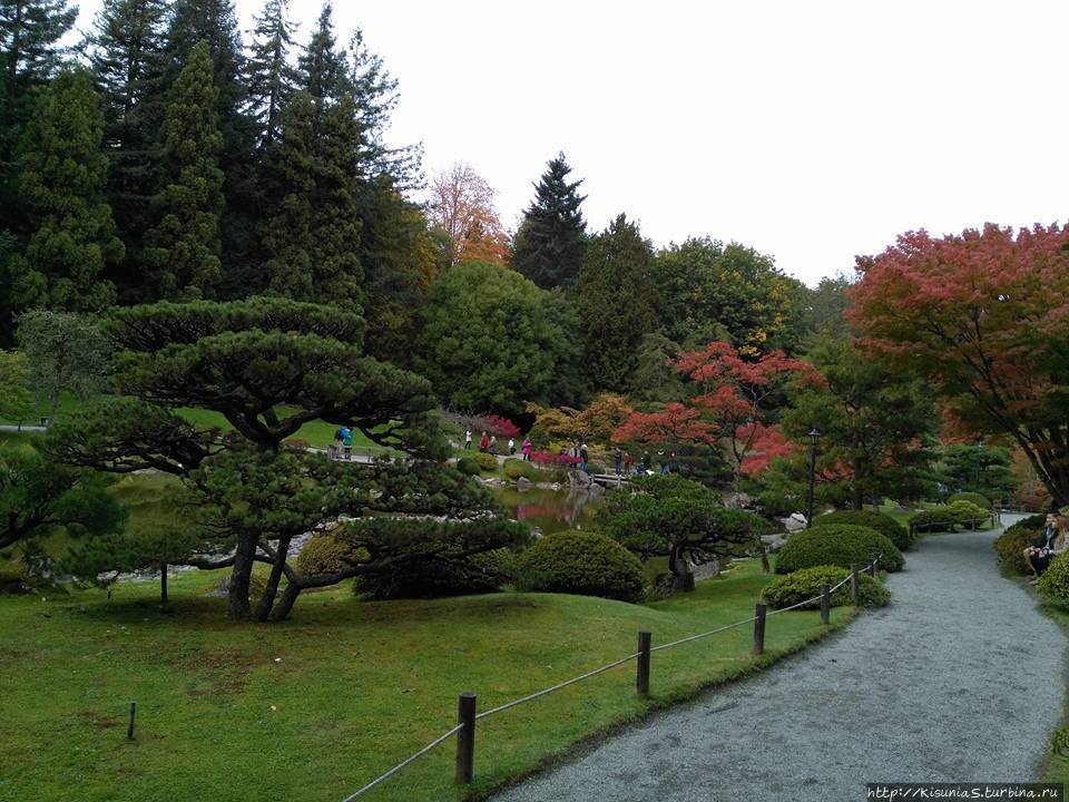 Японский парк в Сиэтле, США Сиэттл, CША