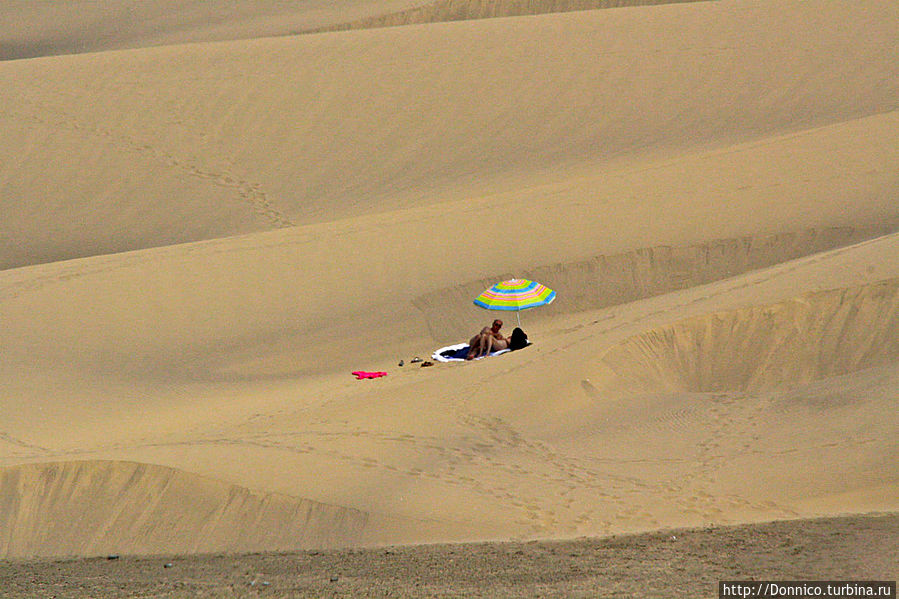романтика притяжения большой дюны безгранична Остров Гран-Канария, Испания