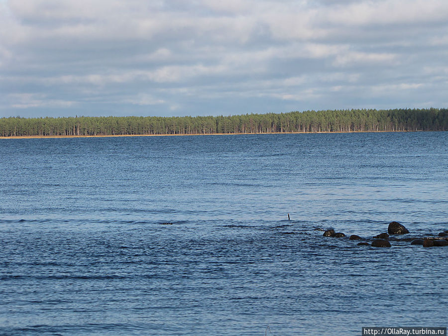 Первый день ноября. Уя.