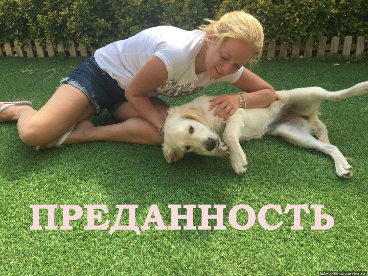 С Днем Рождения, DONNICO!