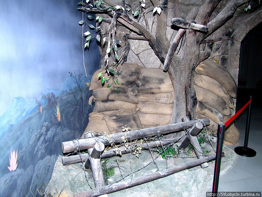 Экспозиции музея