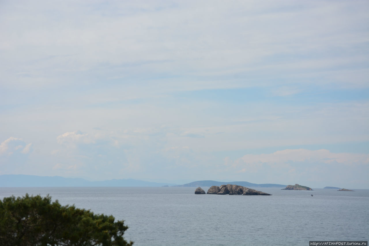 Все оттенки серого