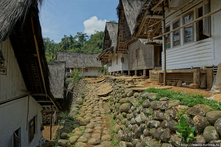 Дома жителей. Ява, Индонезия