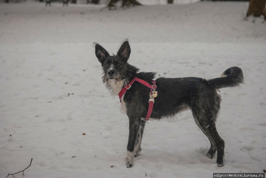 На берегу Изара Мюнхен, Германия