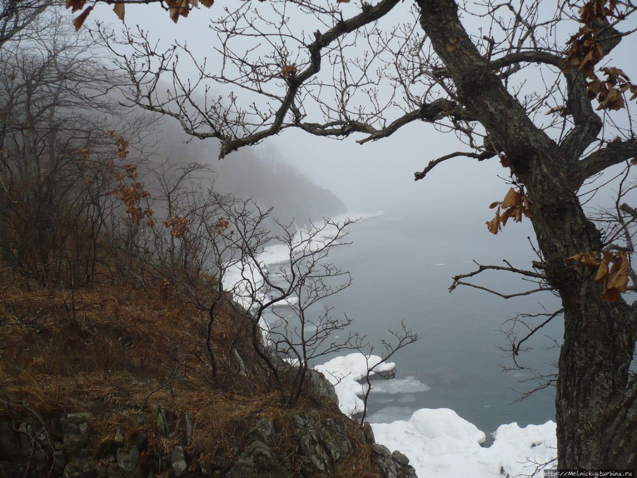 Мыс Брюса Славянка, Россия Мыс Брюса Славянка, Россия