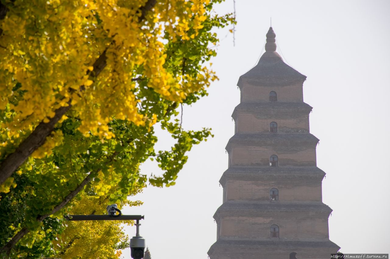 Большая пагода диких гусей / Giant Wild Goose Pagoda