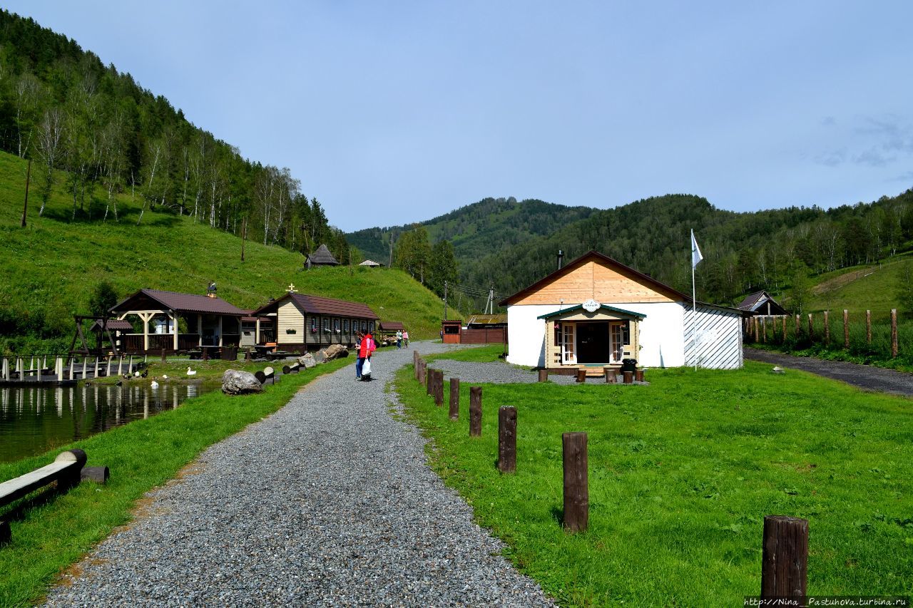 Каимское горный алтай фото