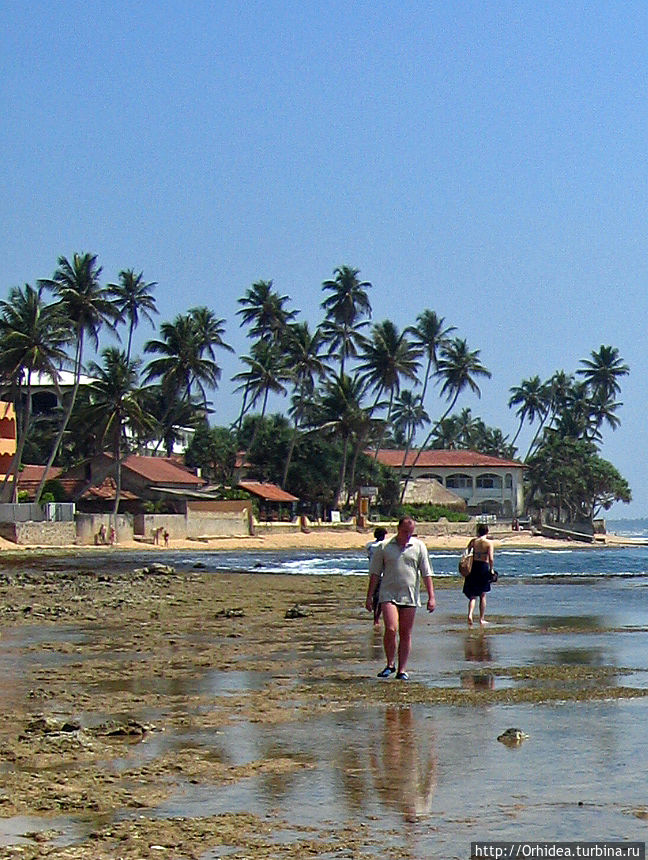 рядом кусочек дикого побережья