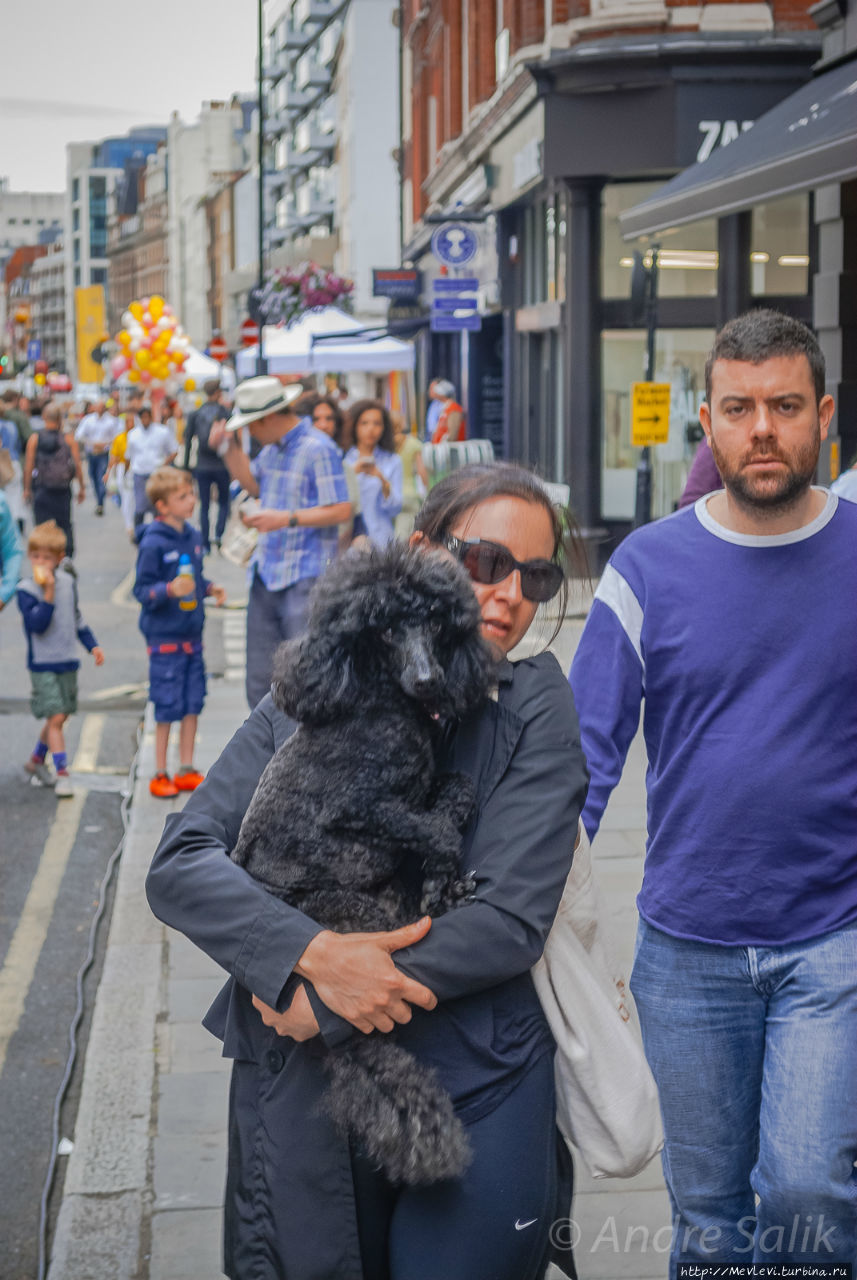 Пасмурное лондонское утро Лондон, Великобритания