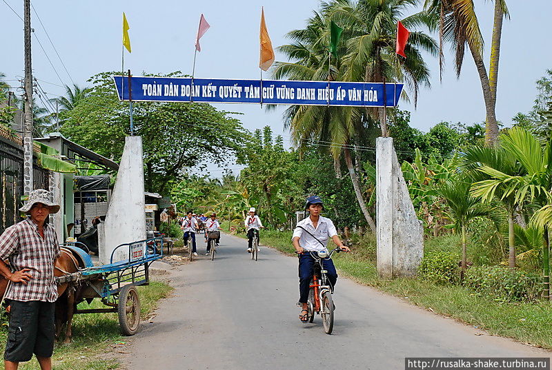 Деревня: нас не обманешь! Лонгсюен, Вьетнам