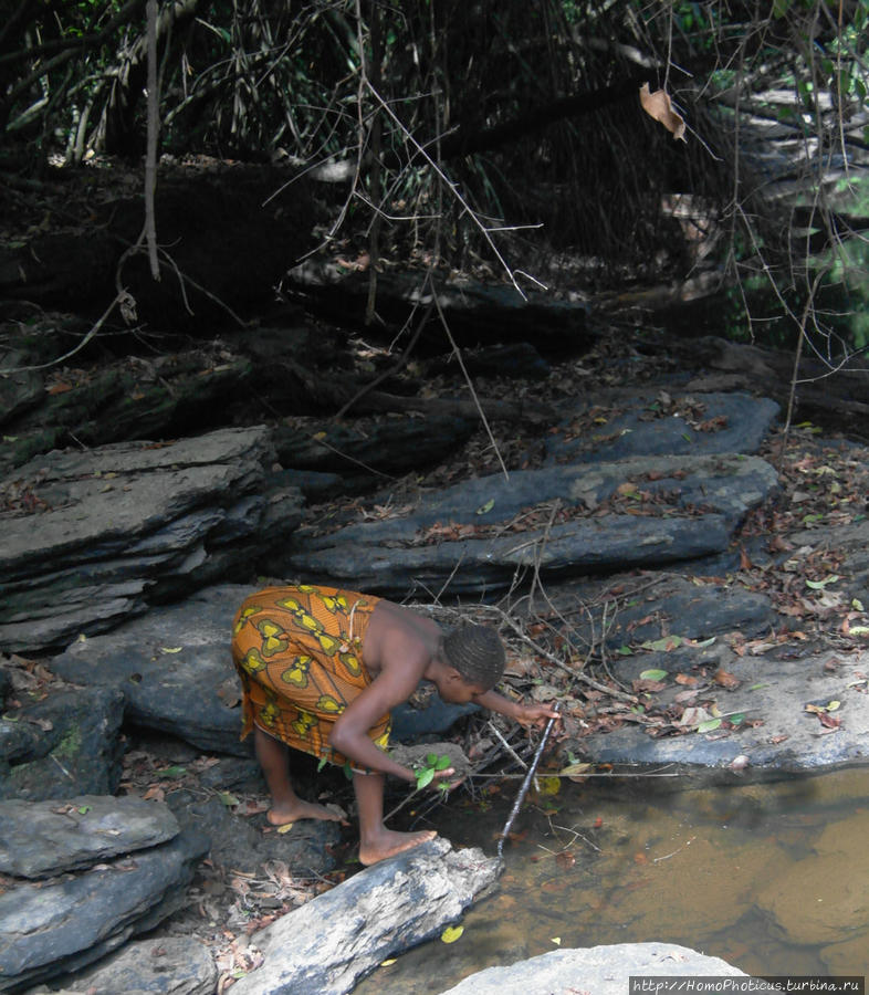 добыча рыбы: сооружение плотины Джа Заповедник, Камерун