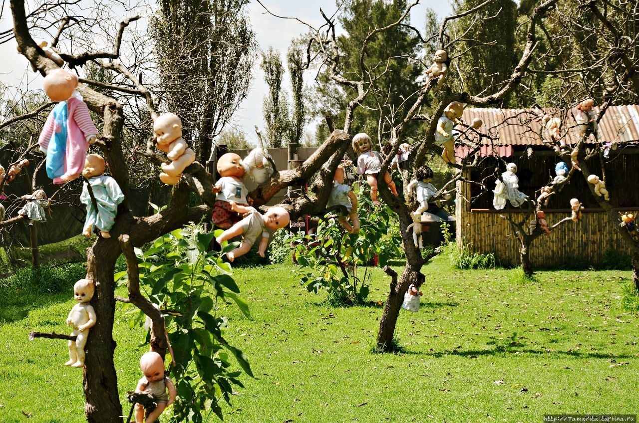 Ужасы с Острова Кукол. Мексика Мехико, Мексика