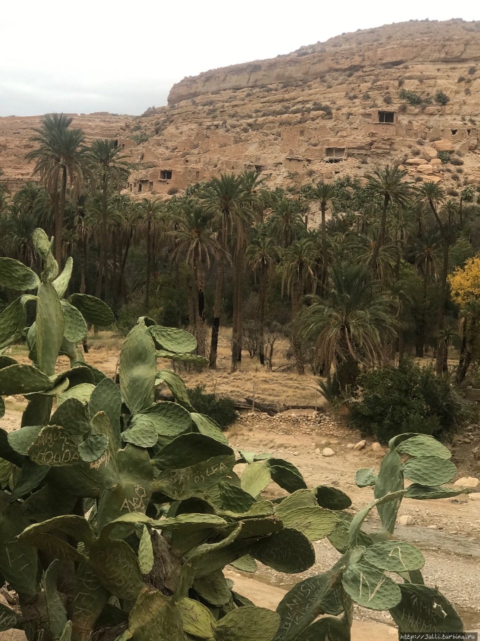 Каньон Гуфи Батна, Алжир