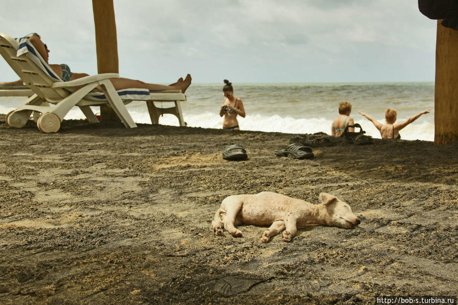 Шри — Ланка. Райский островок. Шри-Ланка