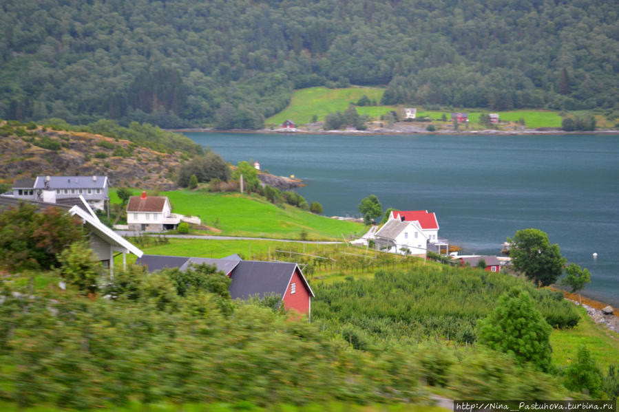 Лейкангер — жить на берегу фьорда, но с Difi и НПО Лейкангер, Норвегия