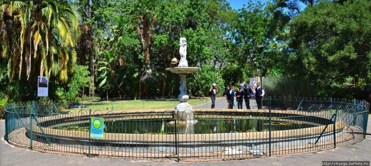 Из интернета