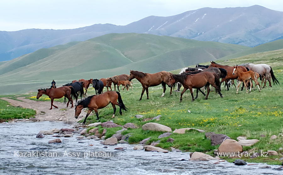 плато Ассы Тургень, Казахстан