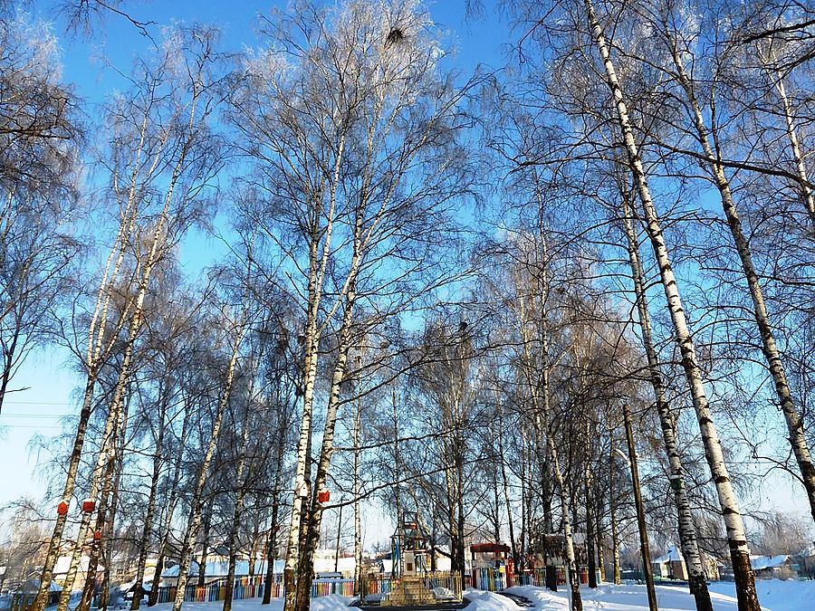 Скворечники и любовь Вятское, Россия