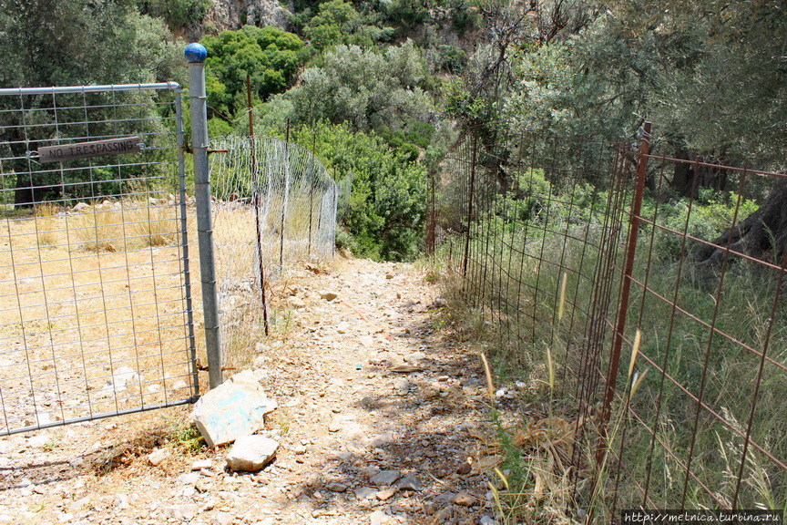 Вполне комфортная каментистая тропка плавно спускается в тенистое лоно ущелья Остров Крит, Греция