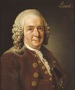 Портрет Карла Линнея (23 мая 1707 — 10 января 1778 ) работы Александра Рослина (1775)