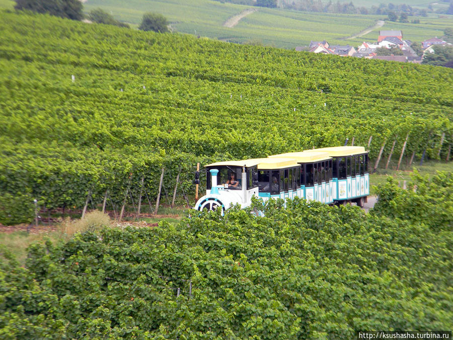 Над виноградниками Рюдесхайма Рюдесхайм-на-Рейне, Германия