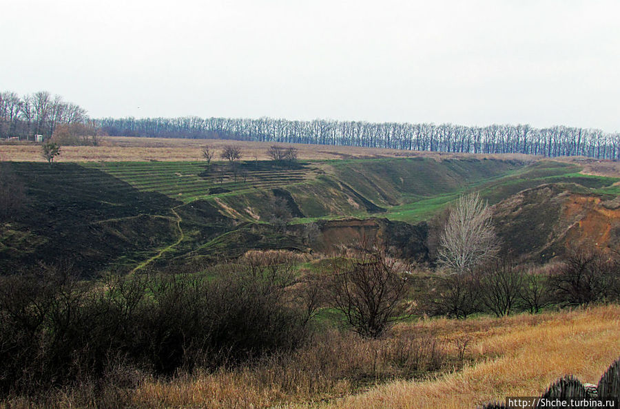 Времена года, или эксперимент, длинною в год Рогань, Украина