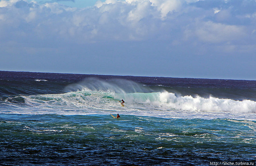 волны покорят серферы Кауэла-Бэй, остров Оаху, CША