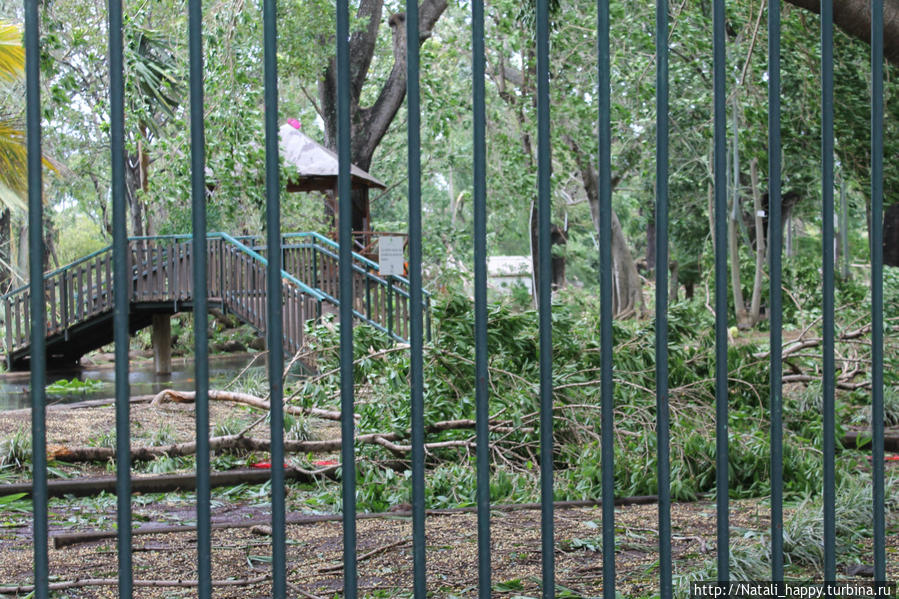 Последствия стихии Сен-Дени, Реюньон