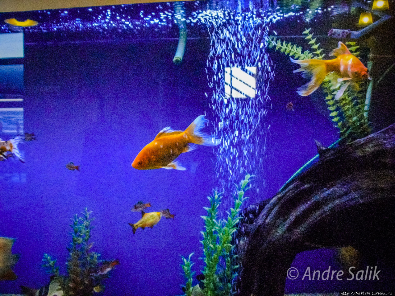 Салют в Юрмале Юрмала, Латвия