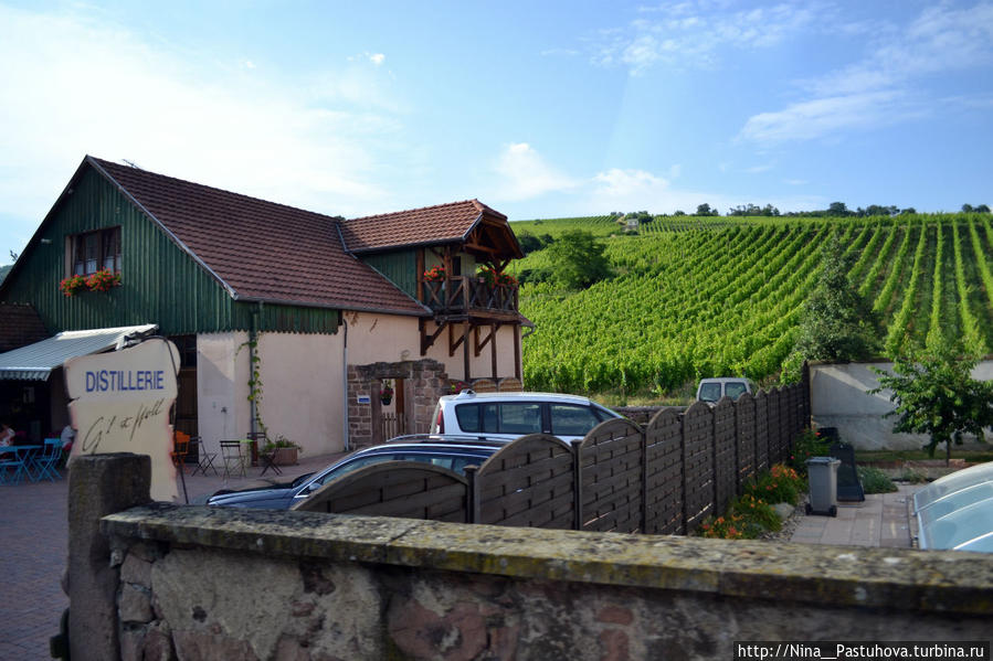 Важнейшая  достопримечательность  Риквира — вино Рикевир, Франция