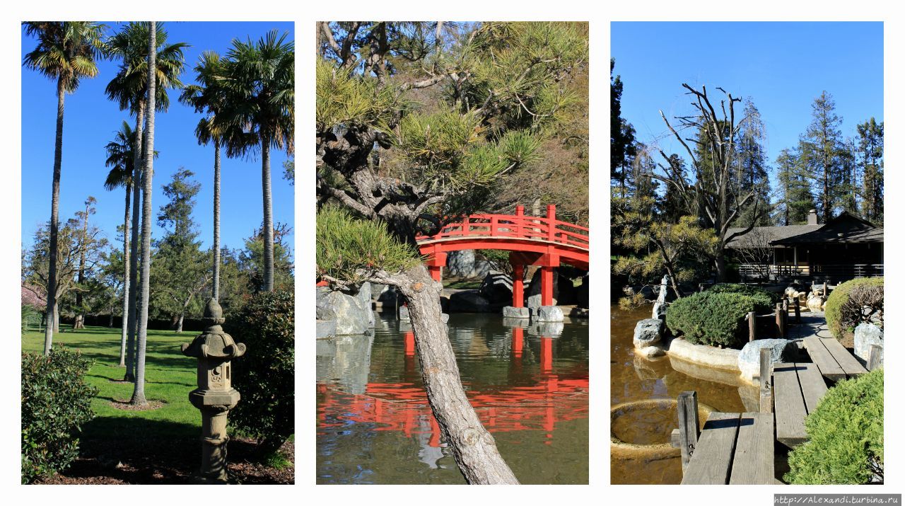 Японский сад дружбы в Сан-Хосе Сан-Хосе, CША