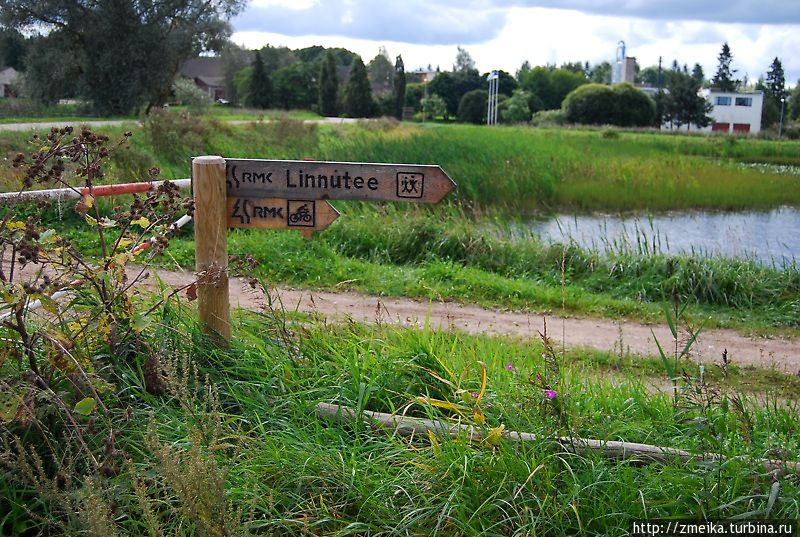 Орнитологическая тропа / Linnutee