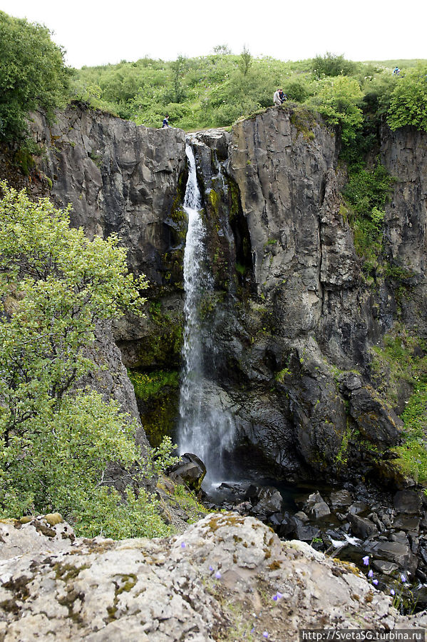 Svartifoss (Черный водопад) — необычное творение природы Свартифосс водопад, Исландия