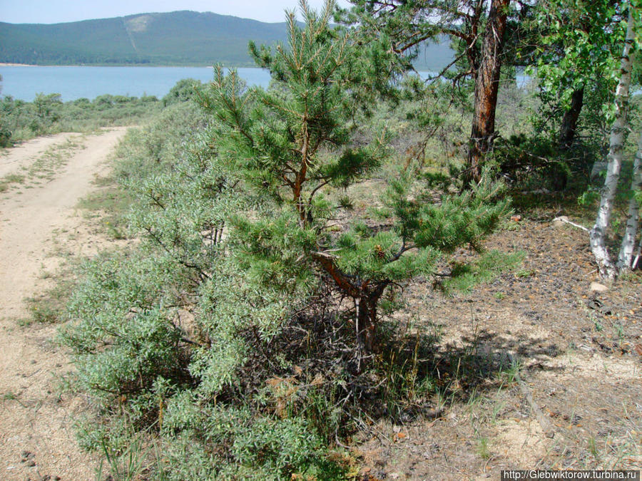 Пешая прогулка на западный берег озера Щучье