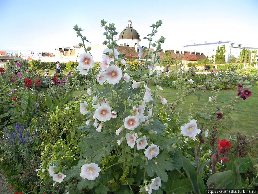Бельведер и его чудесный сад Вена, Австрия