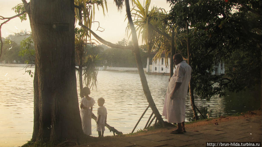 Канди Шри-Ланка