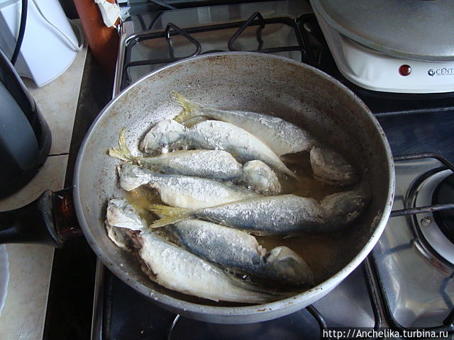 Осенью и зимой тут много рыбы. Жарим ставридку. Абхазия