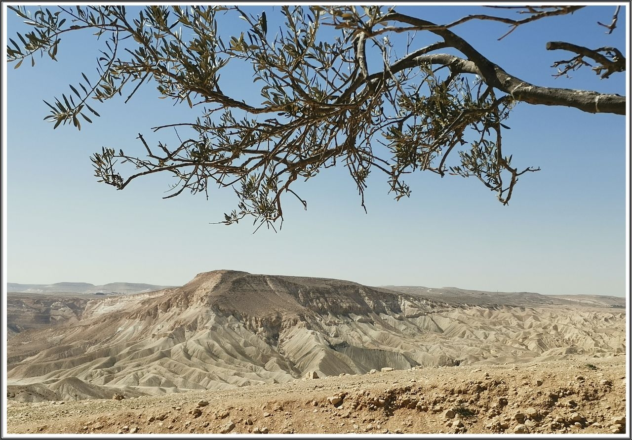 Национальный парк Эйн Авдат Эйн-Авдат Каньон, Израиль