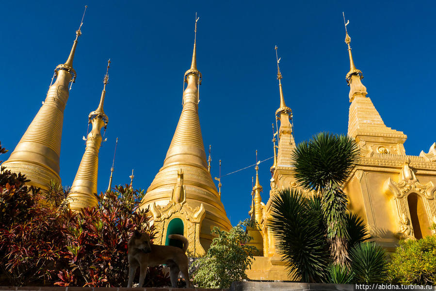 Храмовый комплекс на озере Инле Озеро Инле, Мьянма