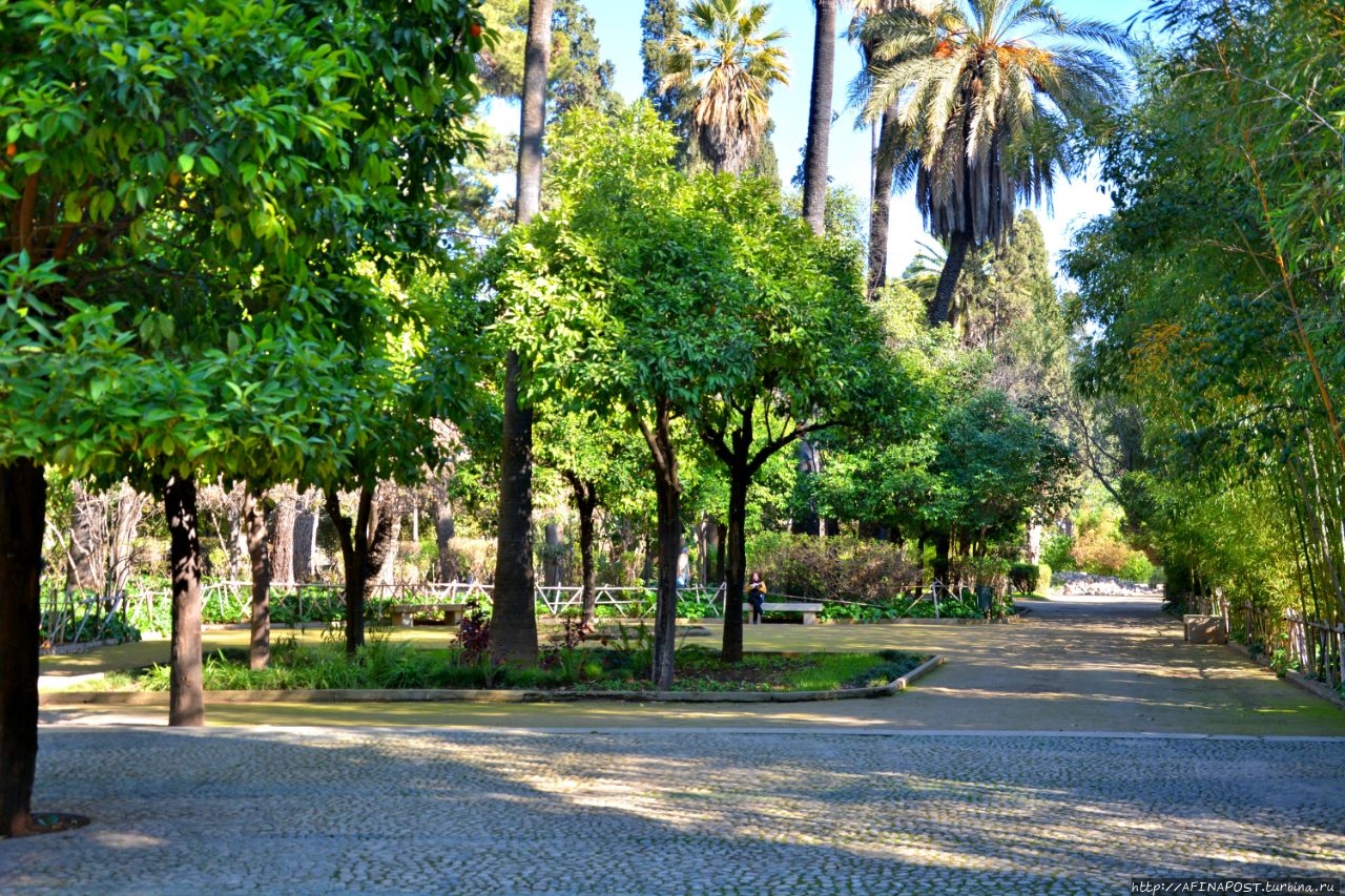 Сады Джнан Сбил Фес, Марокко