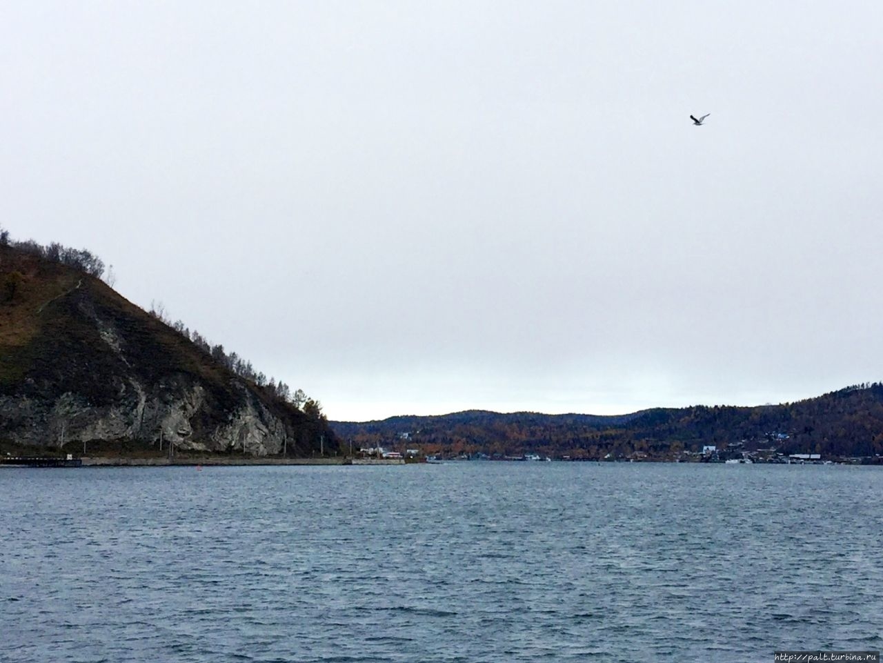 Местной чайке долететь из Порта Байкал (слева) в Листвянку (справа) через Ангару не проблема Порт-Байкал, Россия