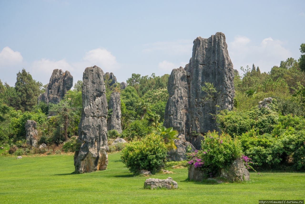 Каменный лес Шилинь Шилин, Китай