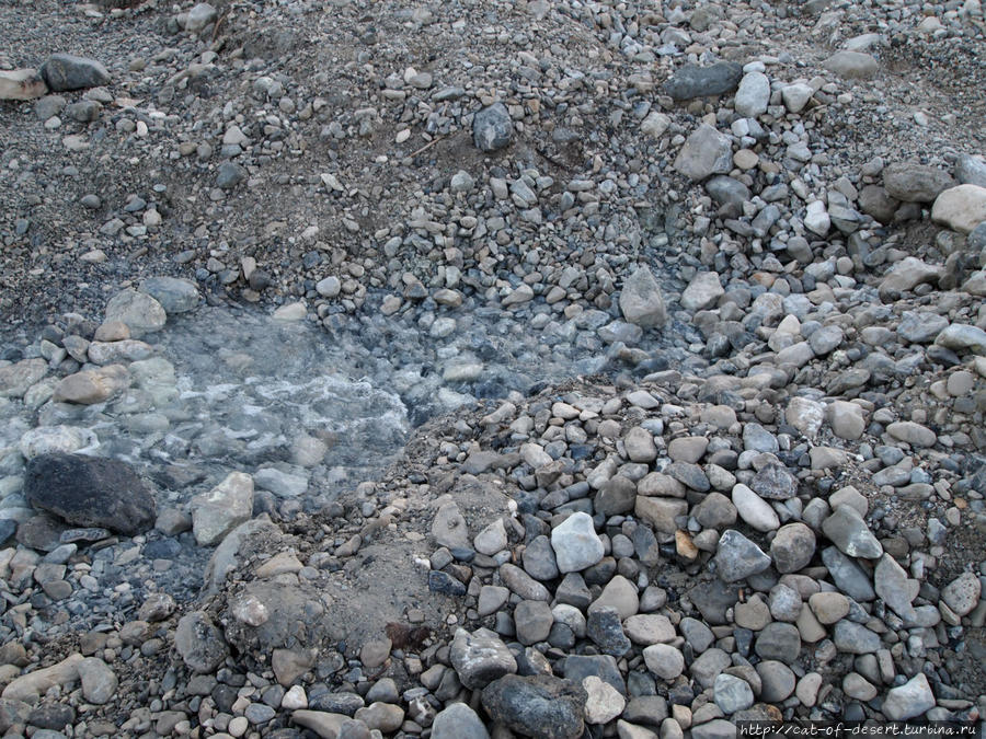 Прямо на берегу — термальные источники, вода горячая, вокруг пахнет сероводородом. Кумран, Израиль