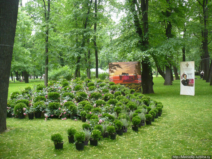 Михайловский сад Санкт-Петербург, Россия