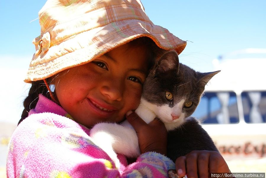 Этот котёнок живёт на крохотном островке озера Титикака и наверное мечтает сбежать от своей хозяйки на большую землю Перу
